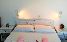 Dolphin Rooms